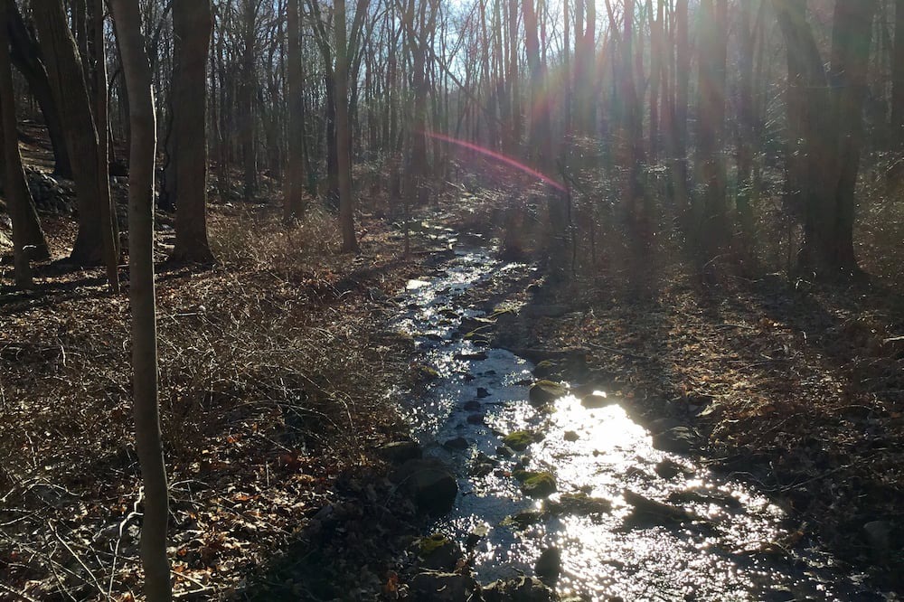 Photo of Outdoor in Cold Spring