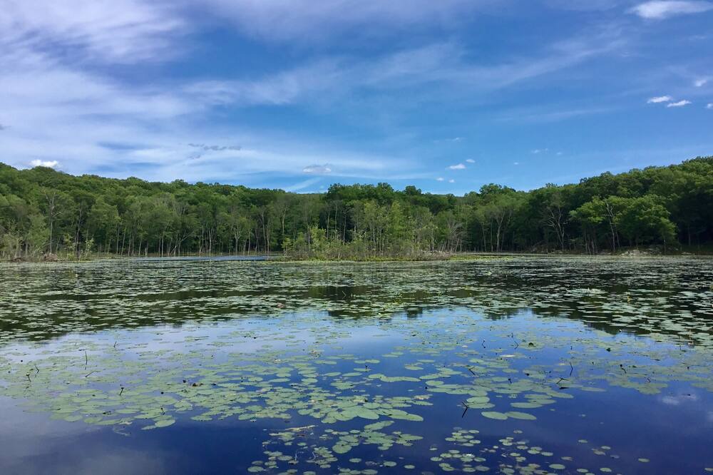 Photo of Outdoor in Cold Spring