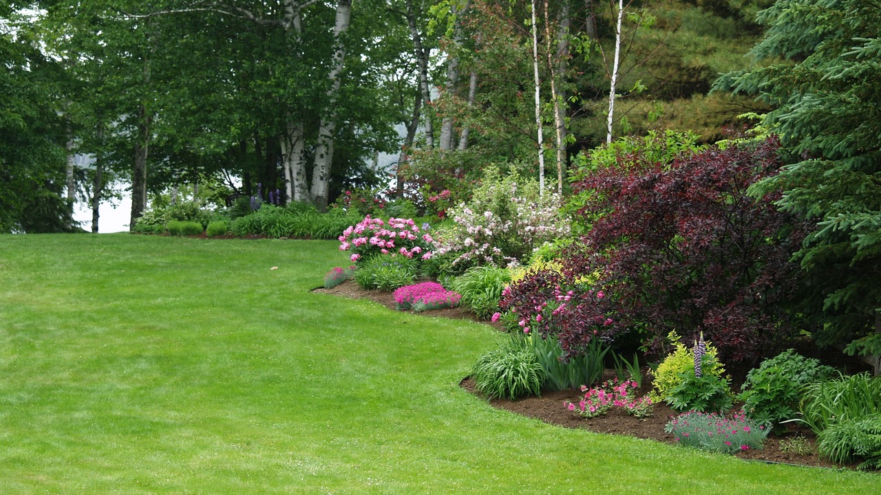 Photo of Outdoor in Dryden