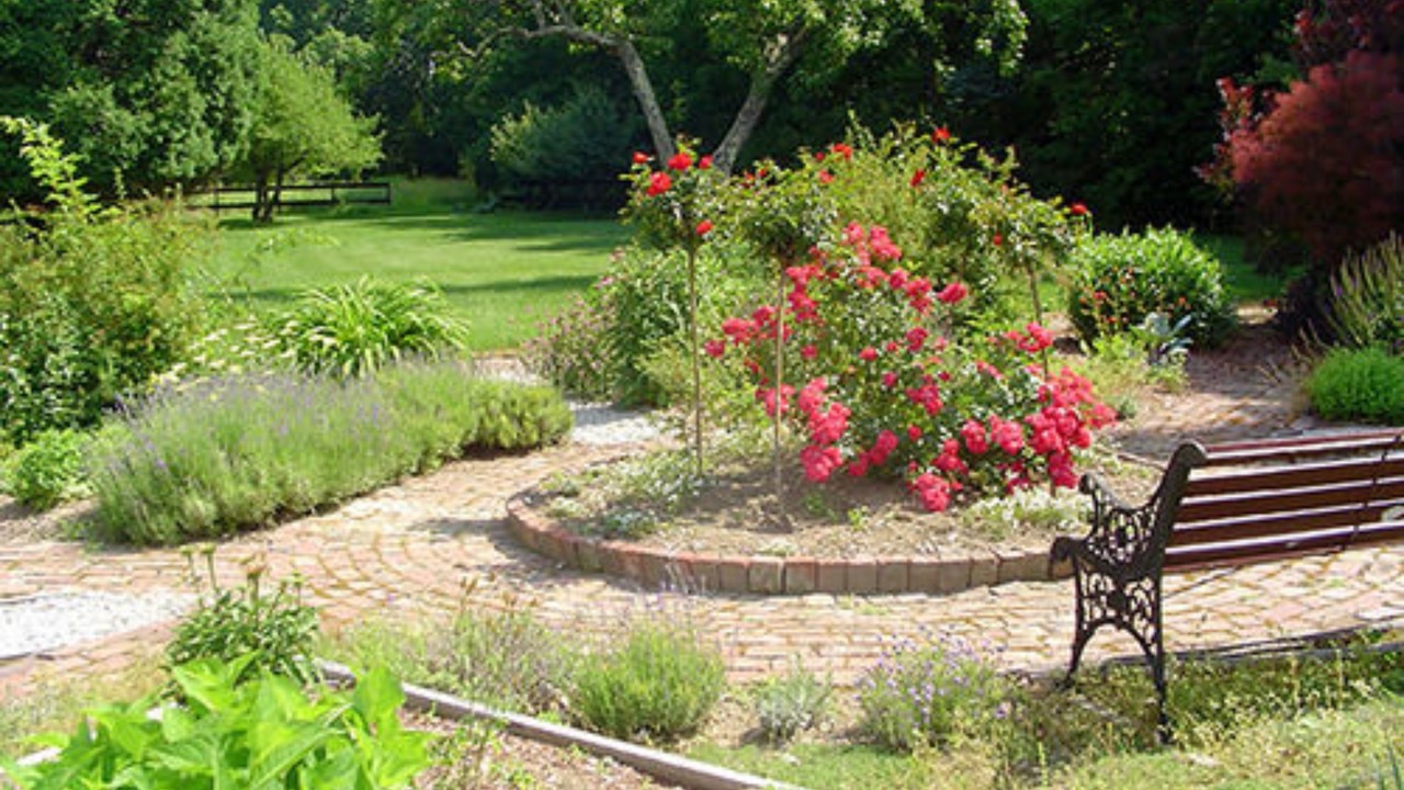 Photo of Outdoor in Candia