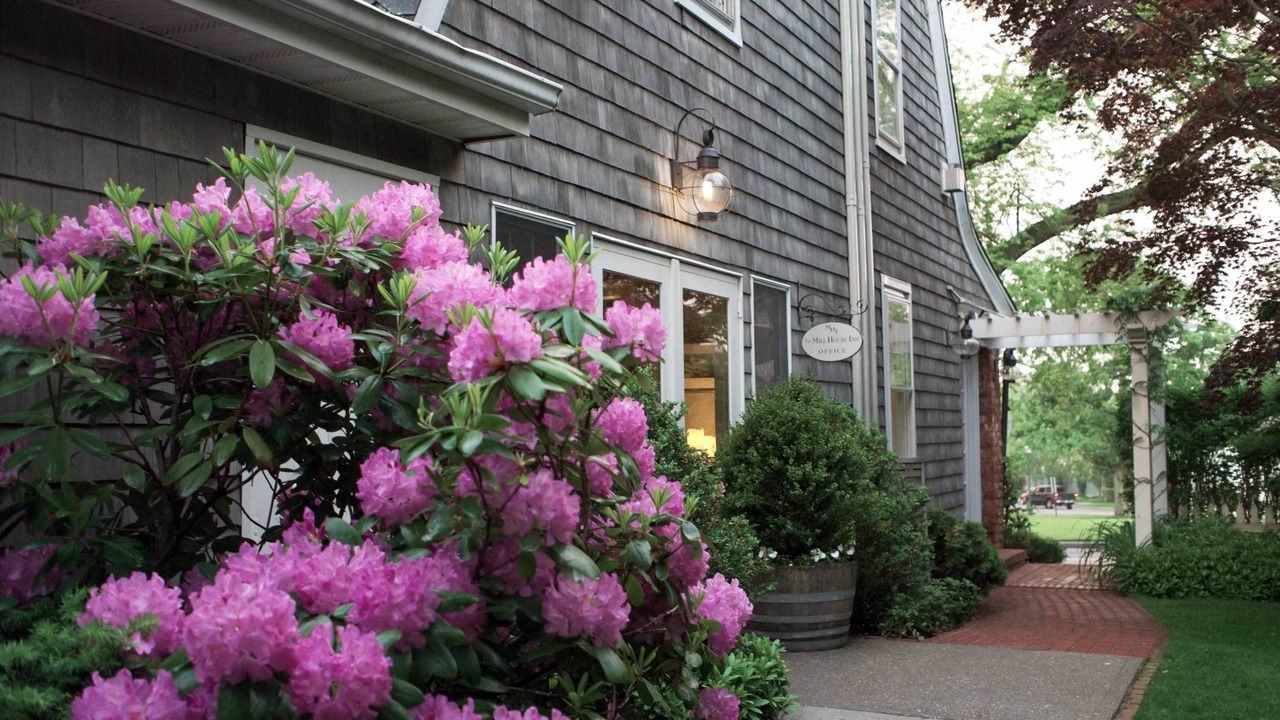Photo of Outdoor in Village of East Hampton