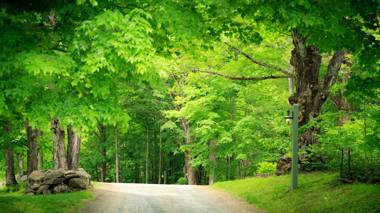 Photo of Outdoor in New London