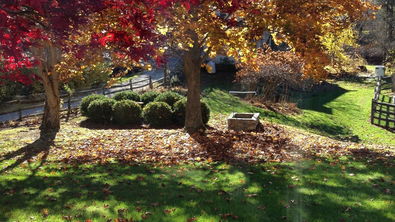Photo of Outdoor in Glendale