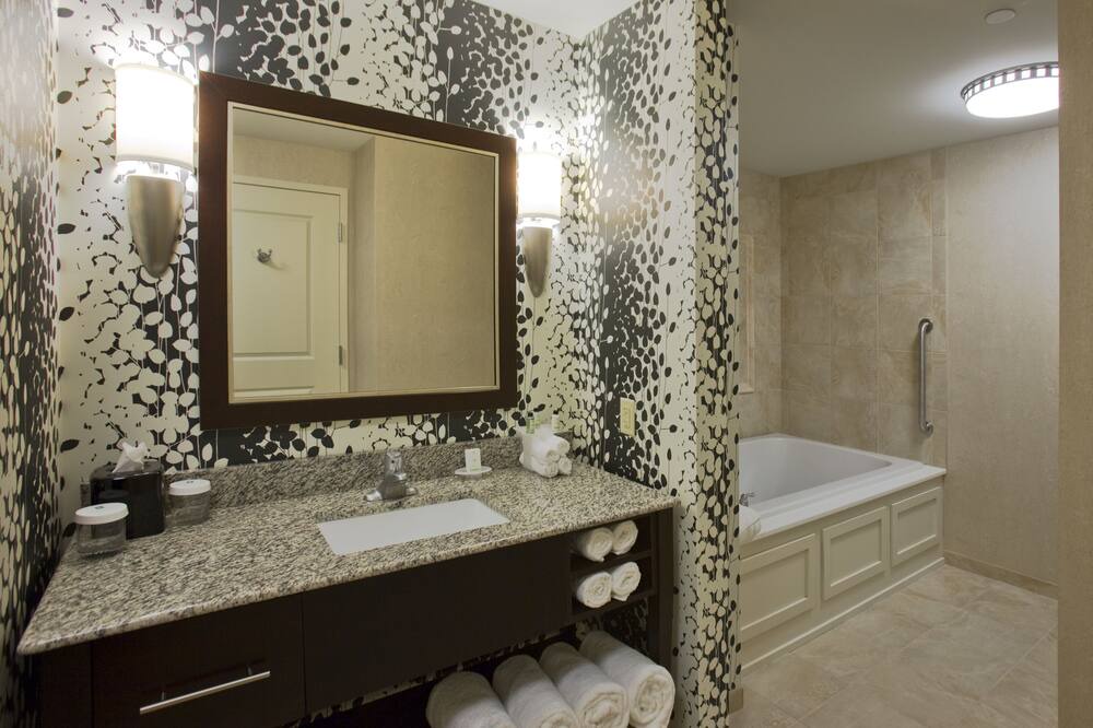 Photo of Bathroom in Downtown Buffalo