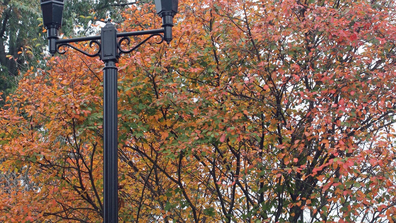 Photo of Outdoor in Kerr