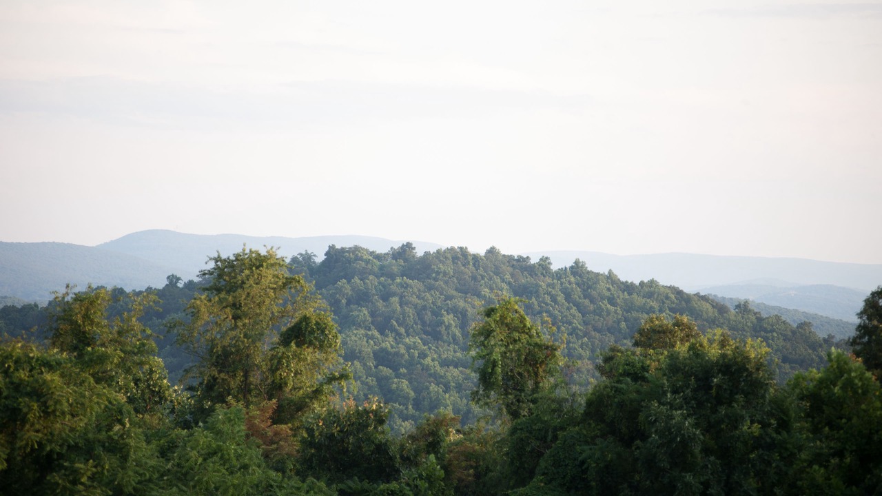 Photo of Others in Keedysville