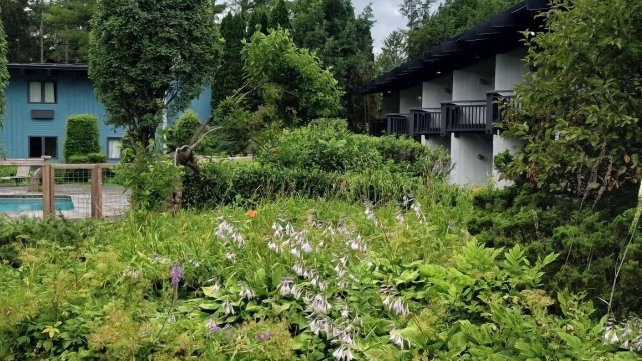 Photo of Outdoor in Bennington