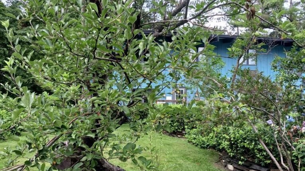 Photo of Outdoor in Bennington