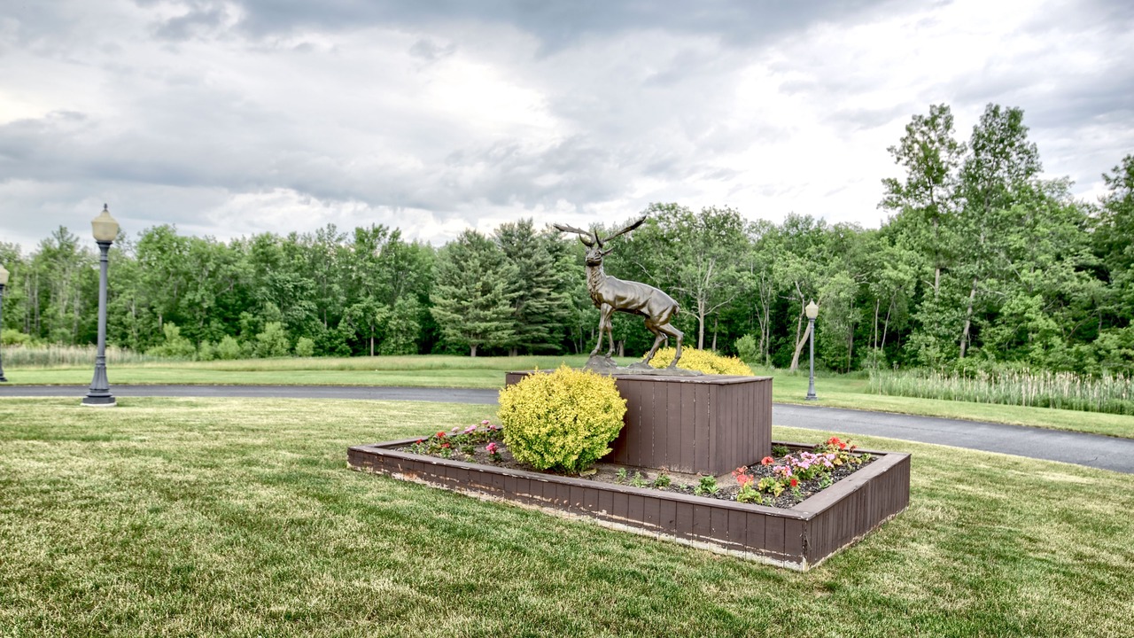 Photo of Outdoor in Ballston Spa