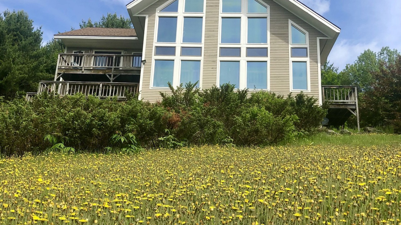 Photo of Outdoor in Milton