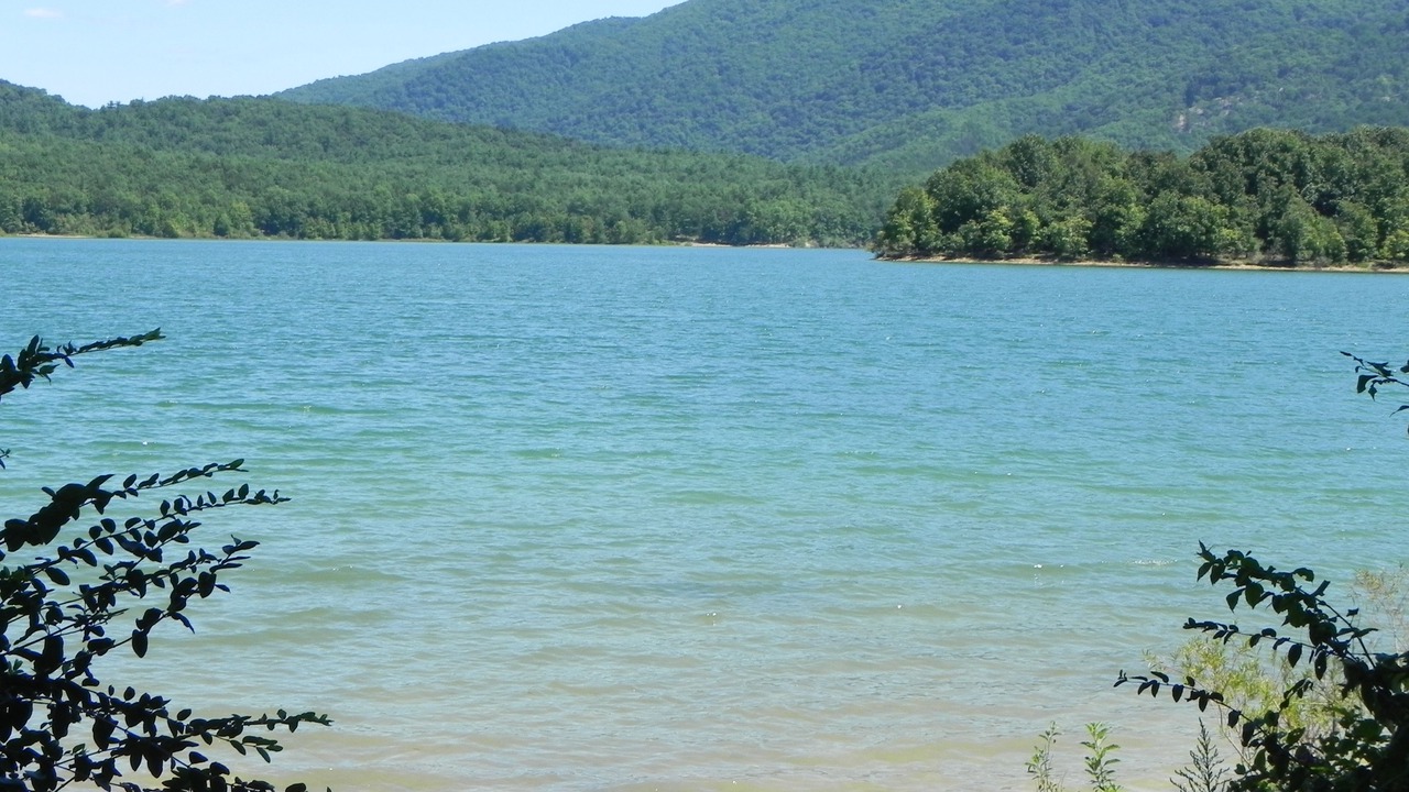 Photo of Others in Valley Springs
