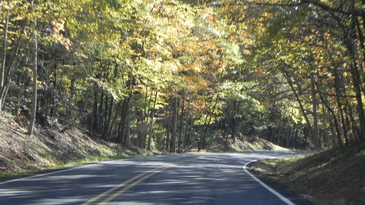 Photo of Others in Valley Springs