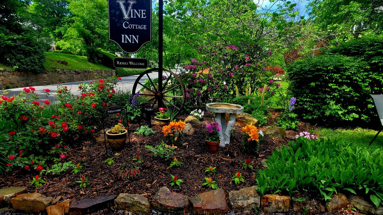Photo of Outdoor in Valley Springs