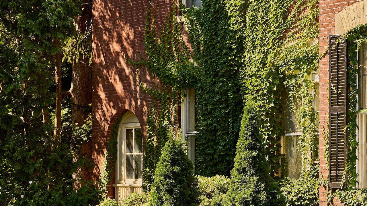Photo of Outdoor in South End