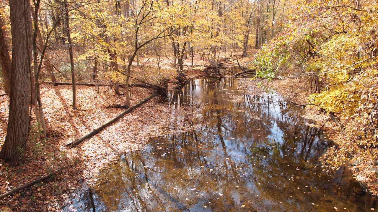 Photo of Outdoor in Poughquag