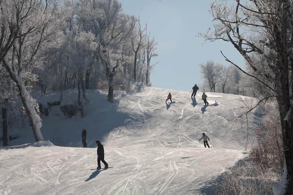 Photo of Others in Margaretville