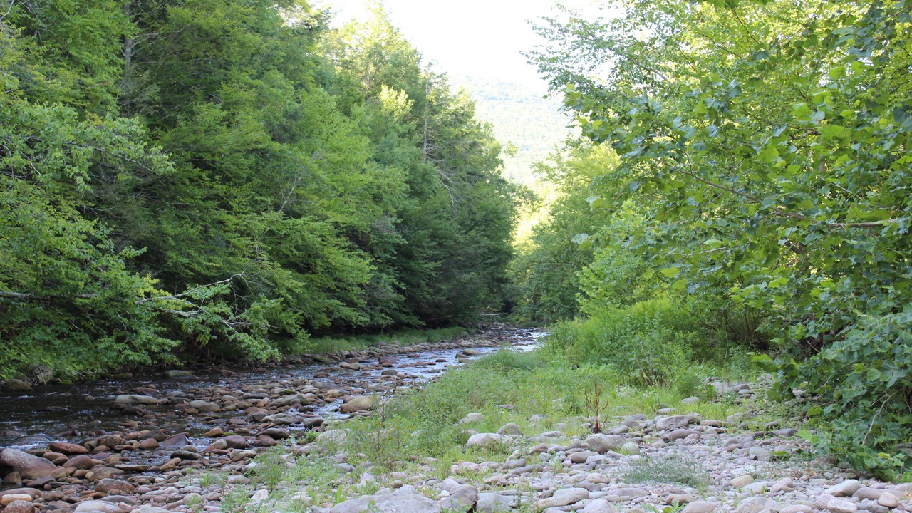 Photo of Outdoor in Phoenicia