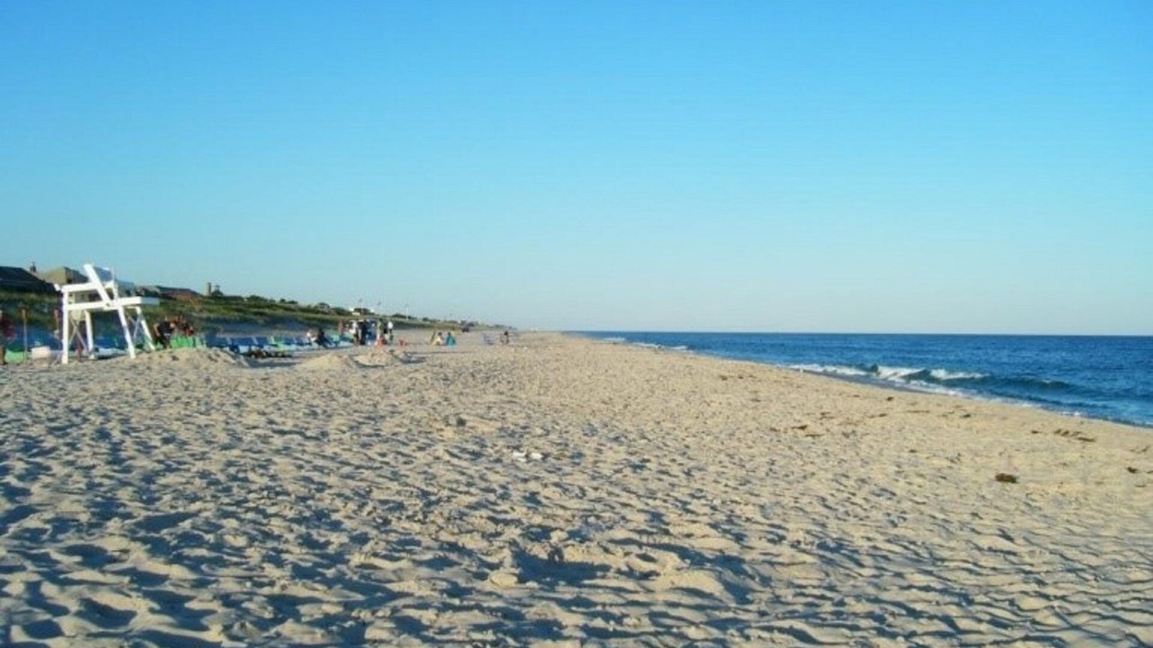 Photo of Others in East Quogue