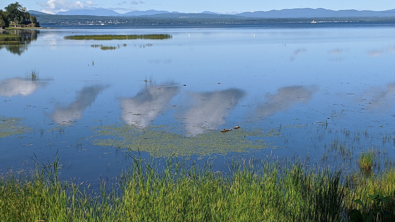 Photo of Others in Malletts Bay