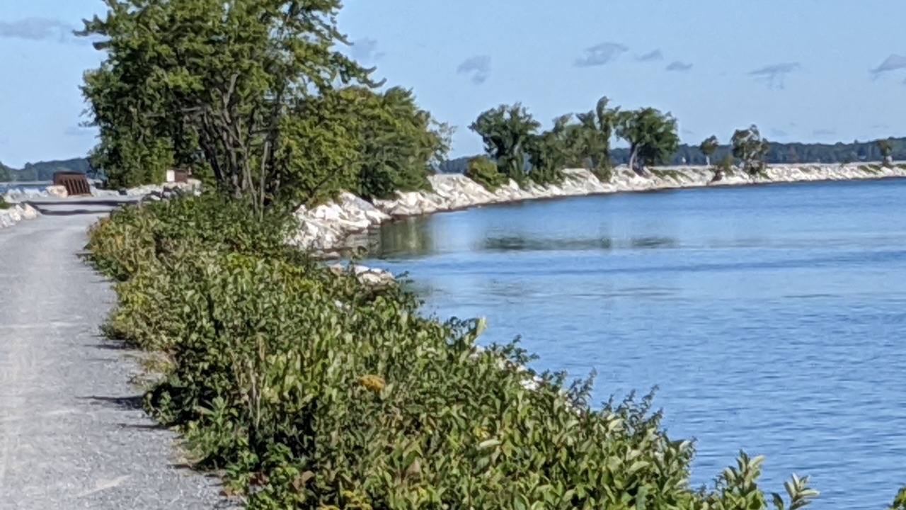 Photo of Others in Malletts Bay