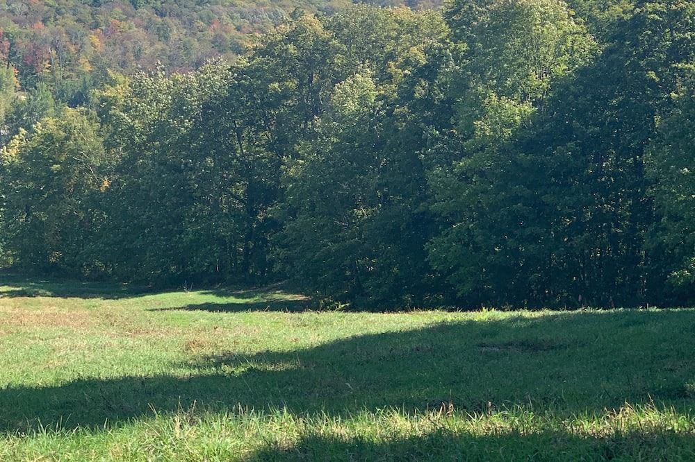 Photo of Others in Bromley Mountain