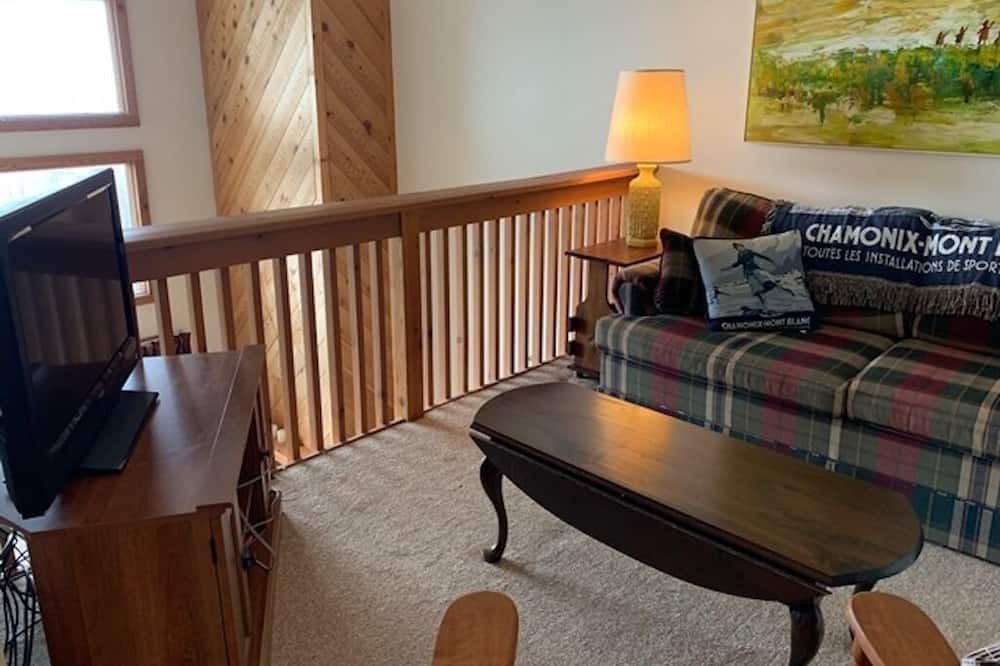 Photo of Livingroom in Bromley Mountain