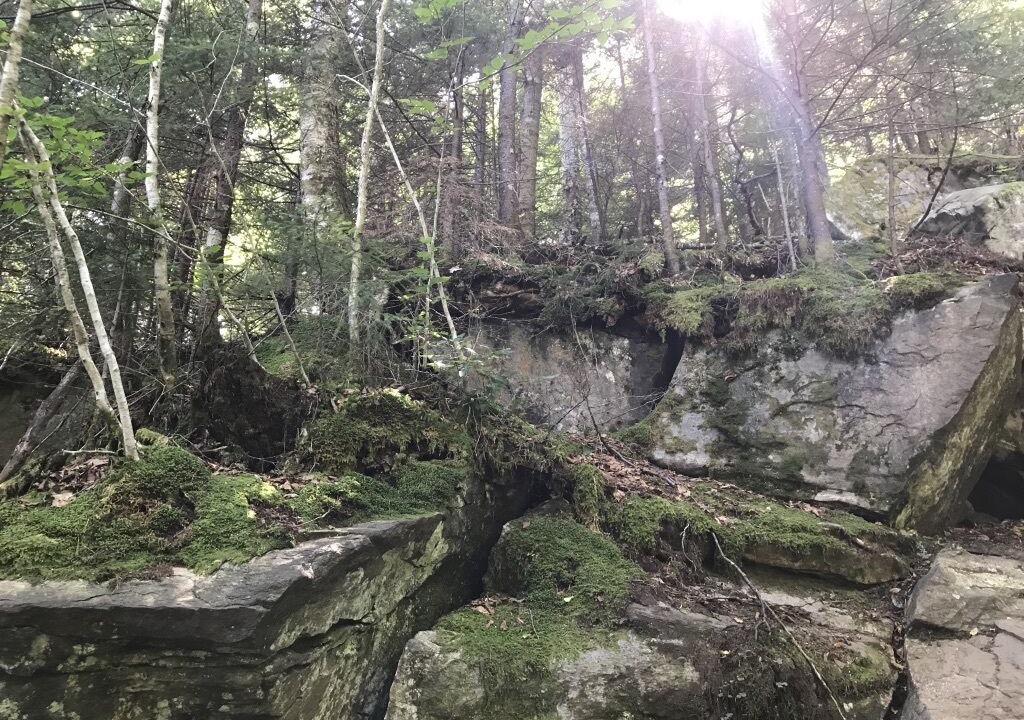Photo of Outdoor in Warren