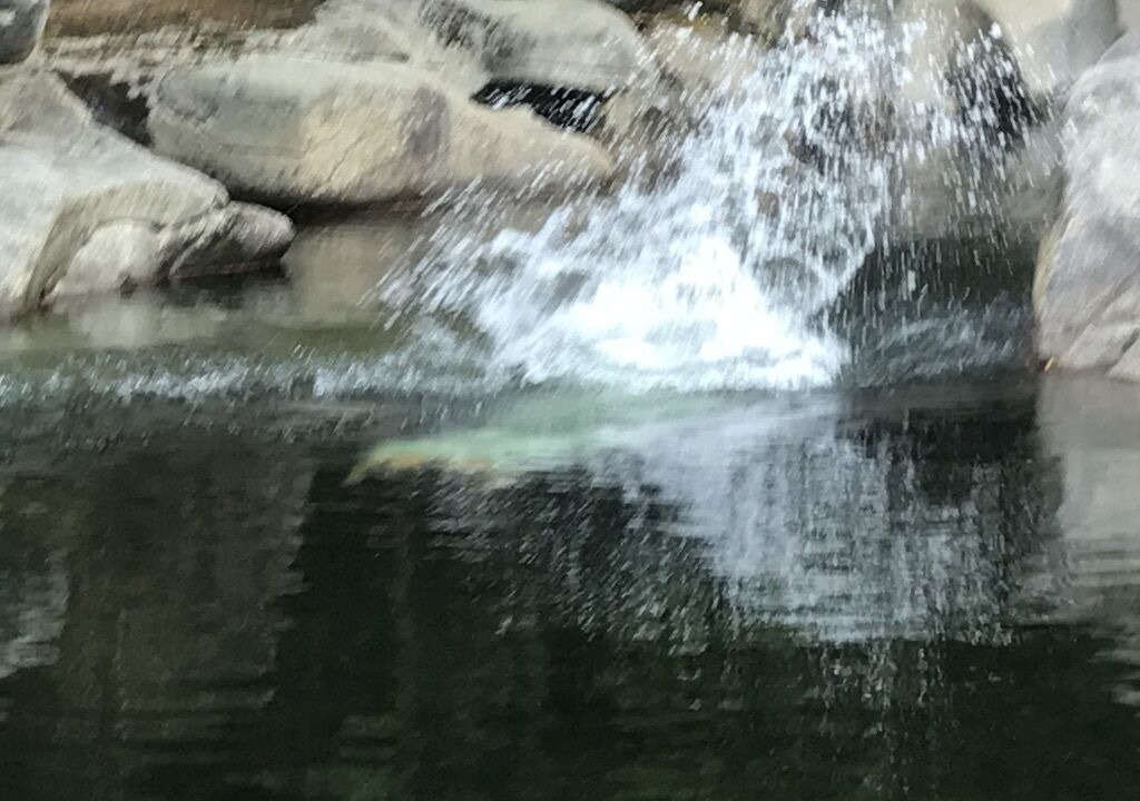 Photo of Outdoor in Warren