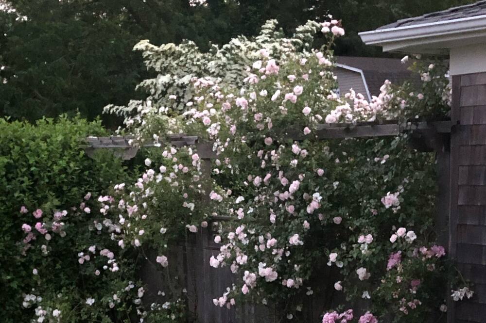 Photo of Outdoor in Jamesport