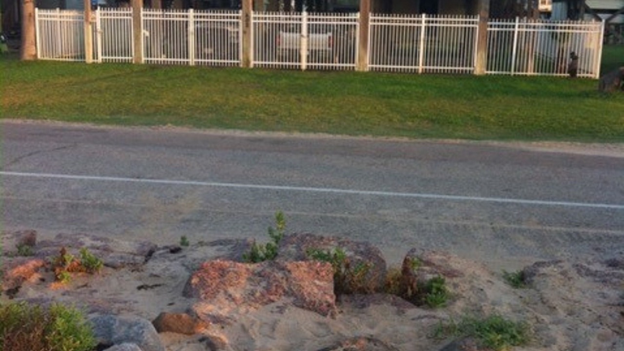 Photo of Outdoor in Surfside Beach
