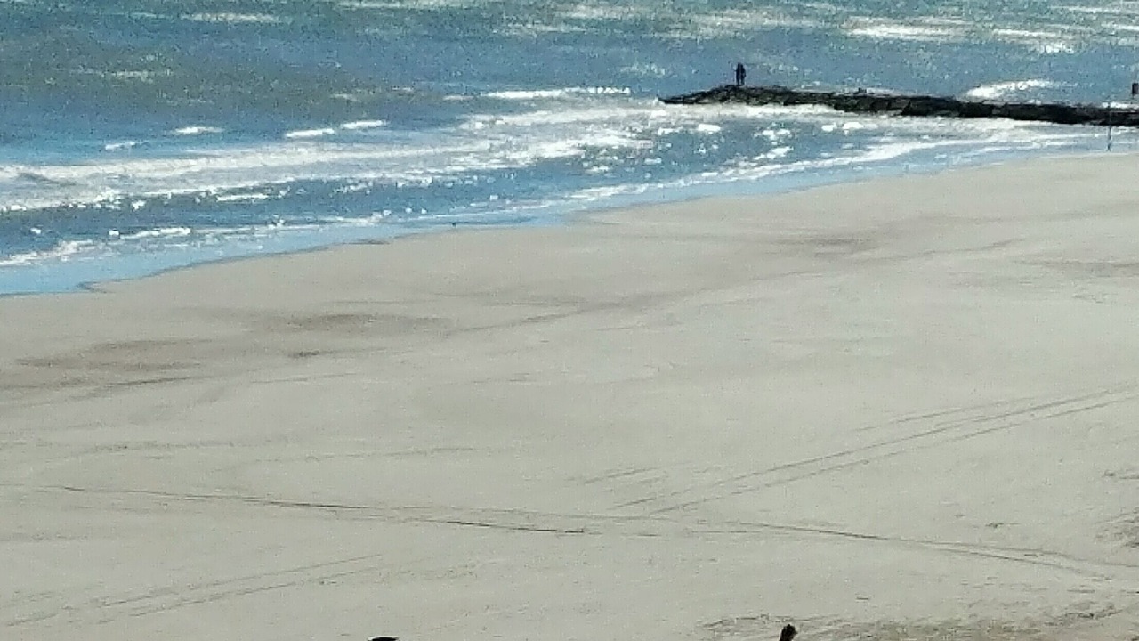 Photo of Others in San Jacinto