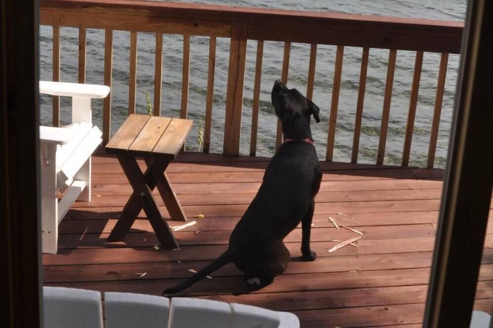 Photo of Patio Balcony in Greensboro