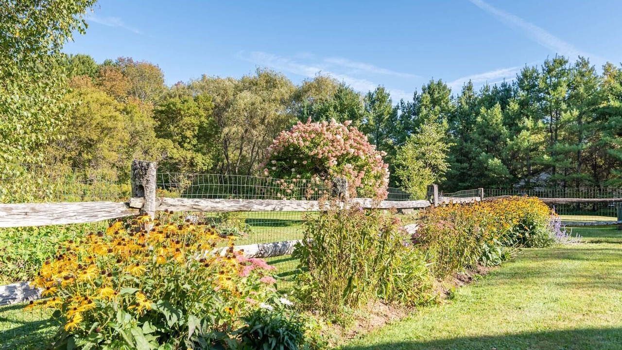 Photo of Outdoor in Dorset