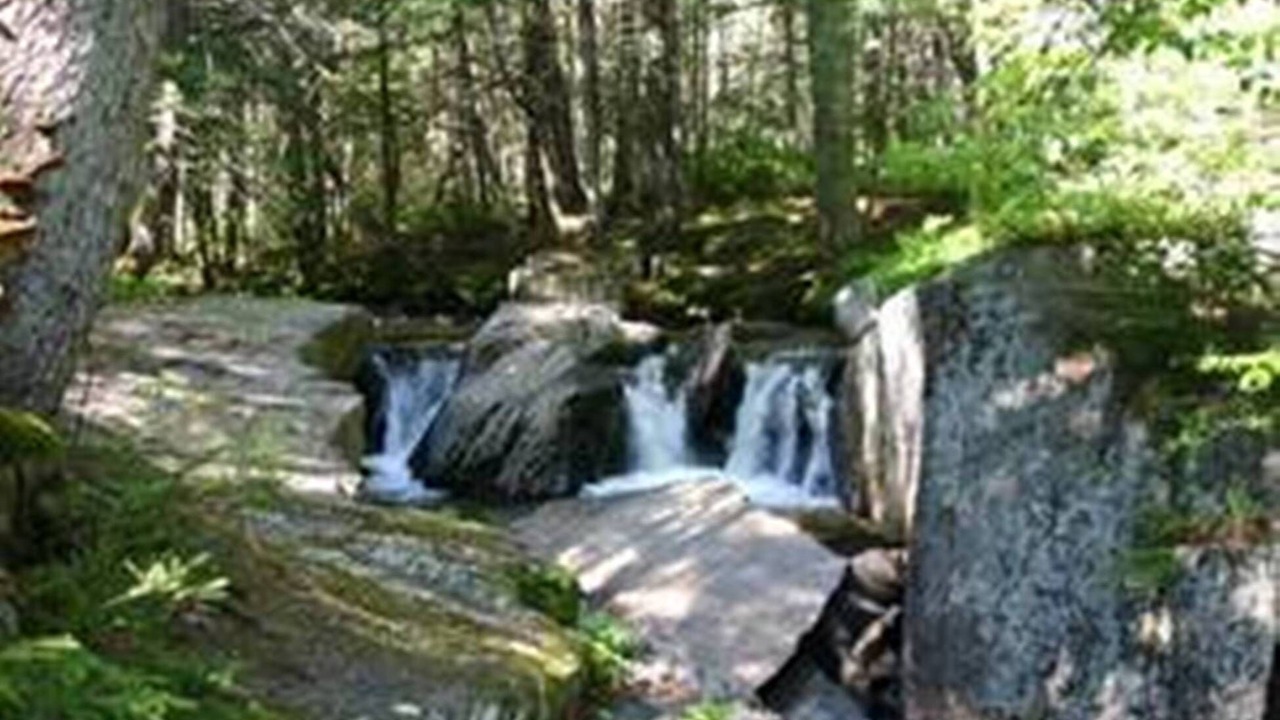 Photo of Outdoor in Groton