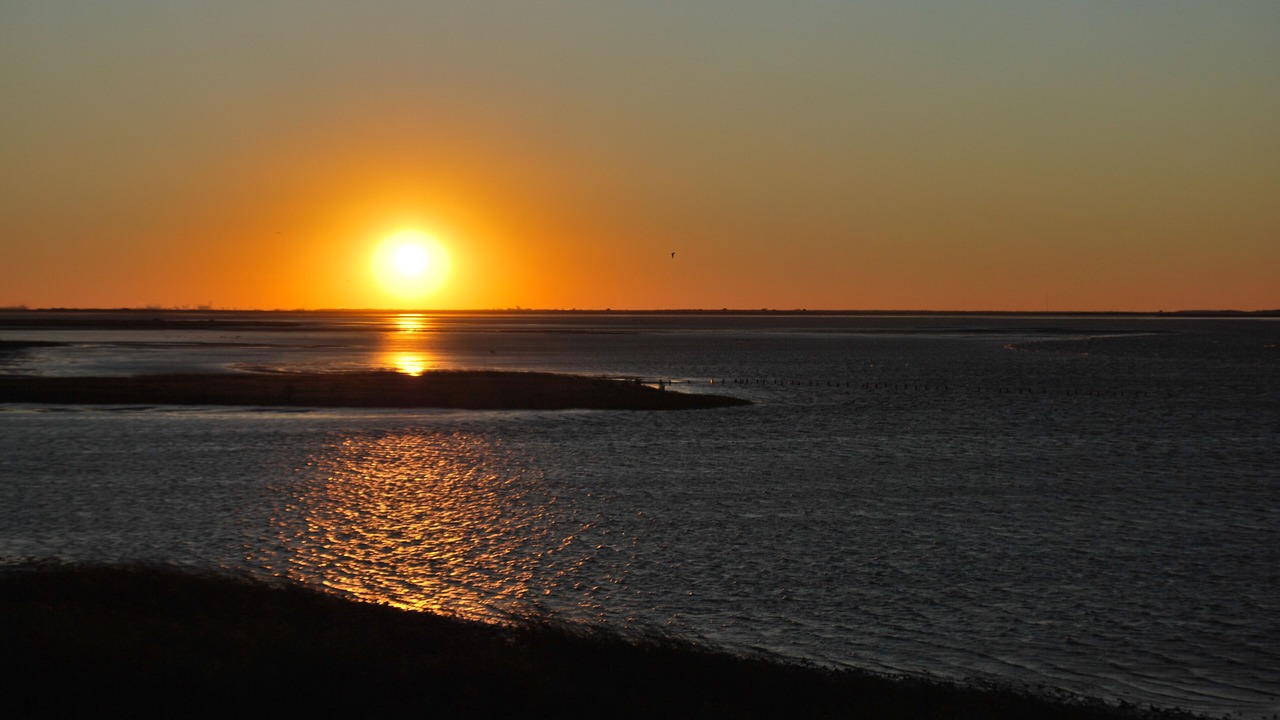 Photo of Others in Galveston