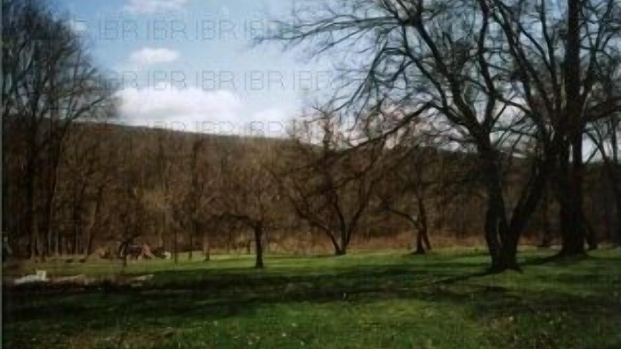 Photo of Outdoor in Etna