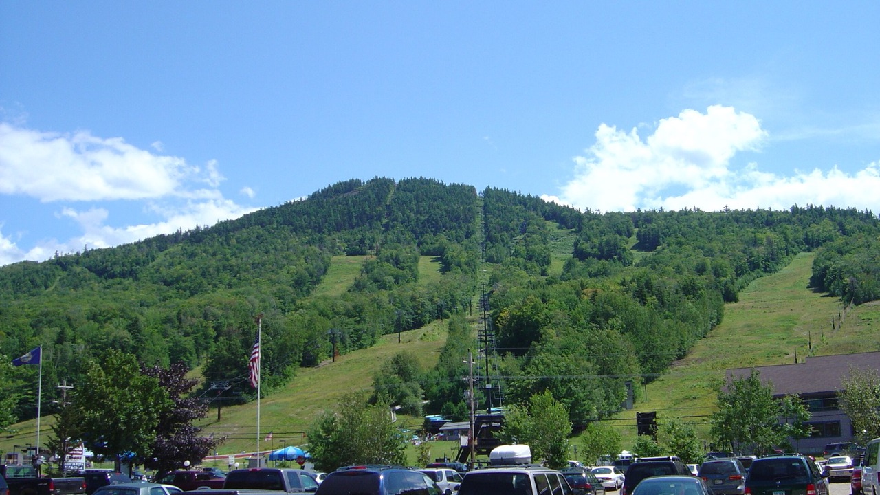 Photo of Others in Bartlett
