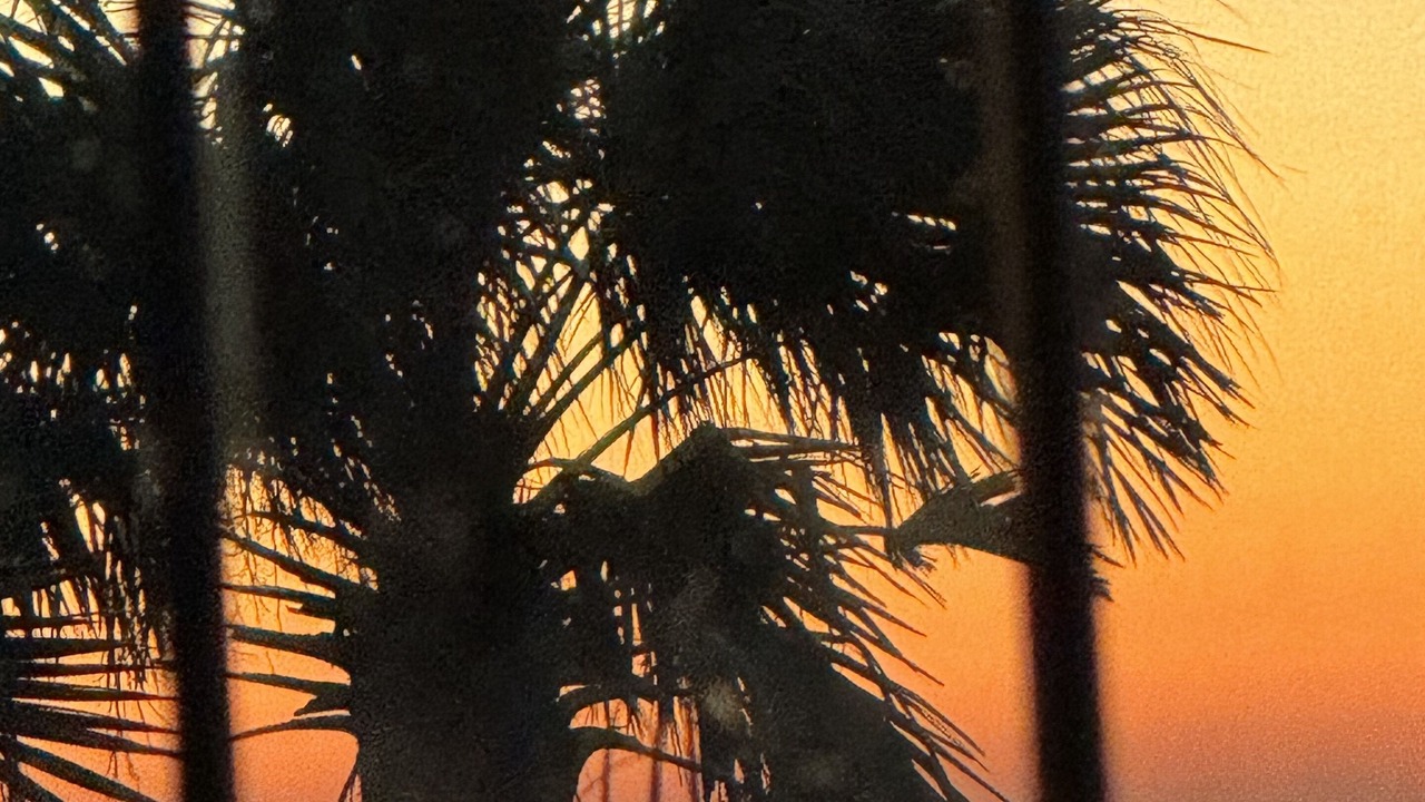 Photo of Outdoor in San Luis