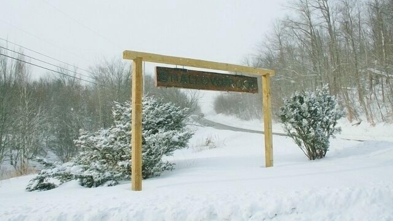 Photo of Others in North Troy