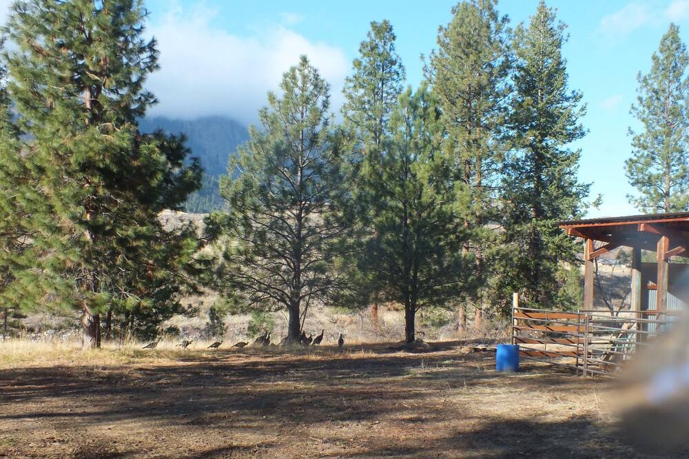 Photo of Others in Twisp