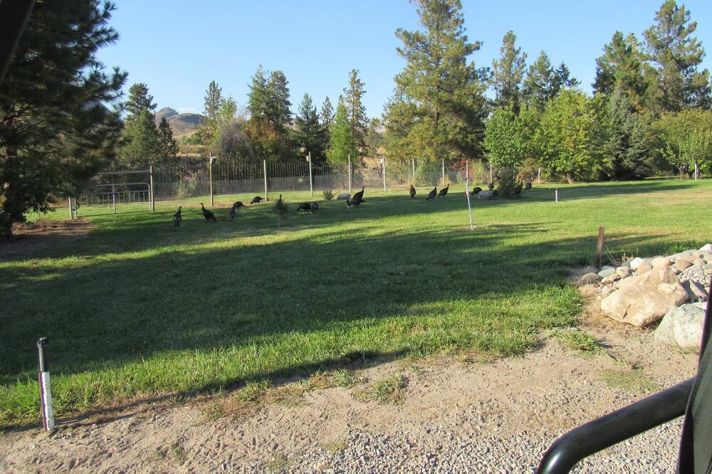 Photo of Others in Twisp