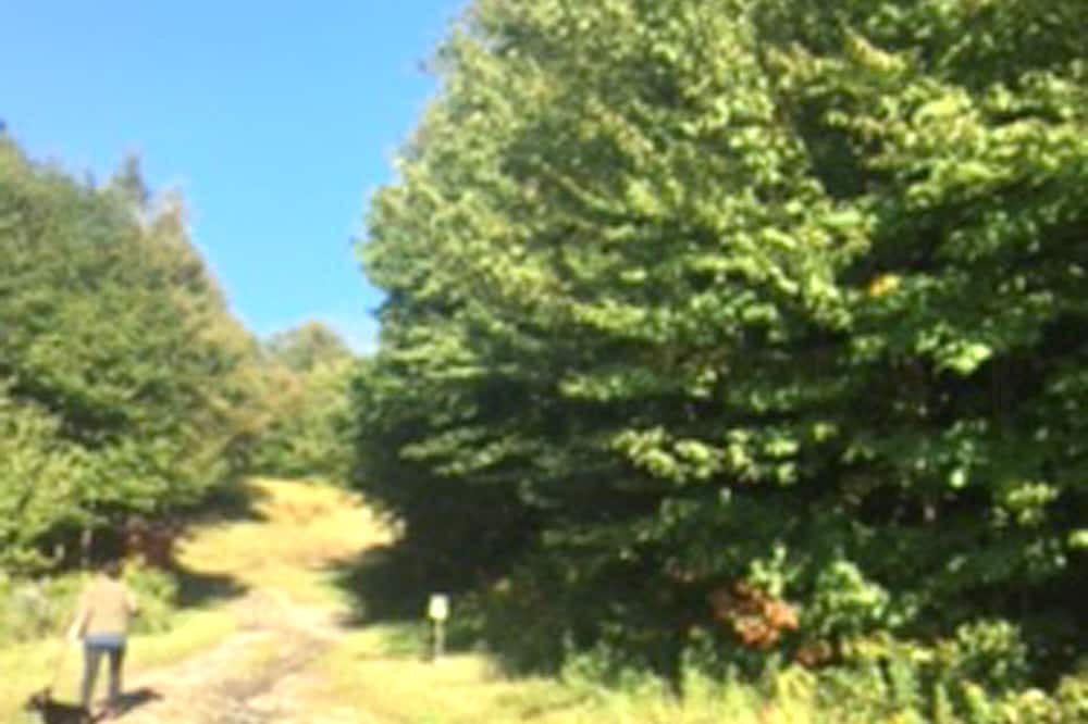 Photo of Outdoor in Bolton Valley