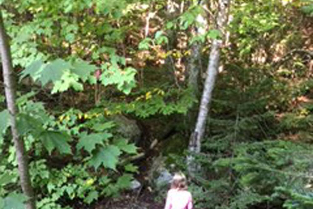 Photo of Others in Bolton Valley