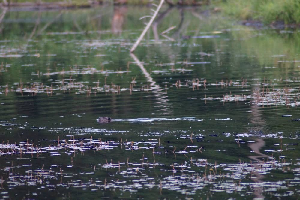 Photo of Others in Bethel