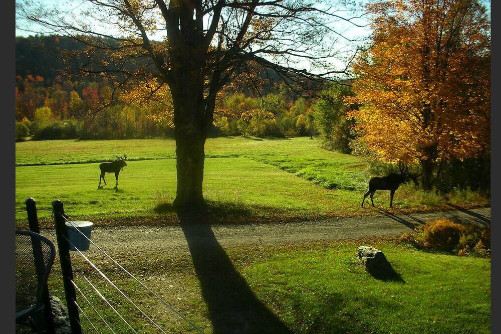 Photo of Others in Bethel