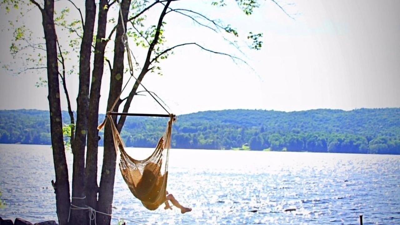 Photo of Outdoor in Day