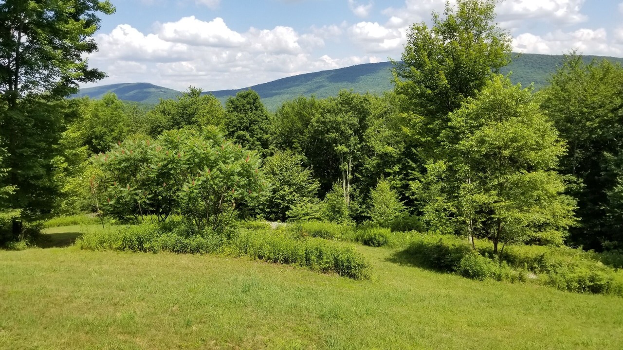 Photo of Outdoor in Margaretville