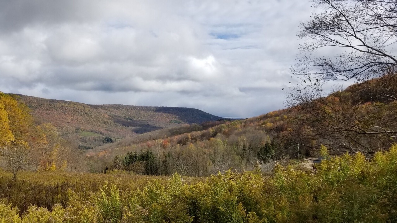 Photo of Others in Margaretville