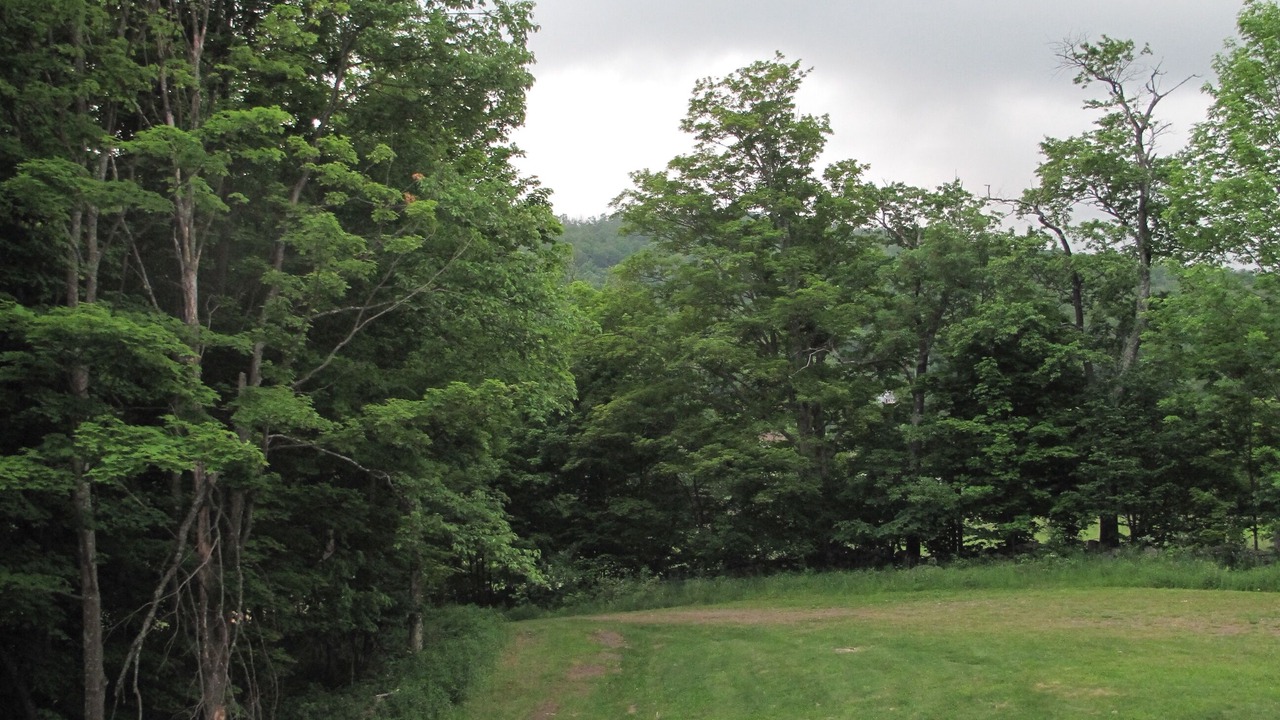 Photo of Outdoor in Margaretville