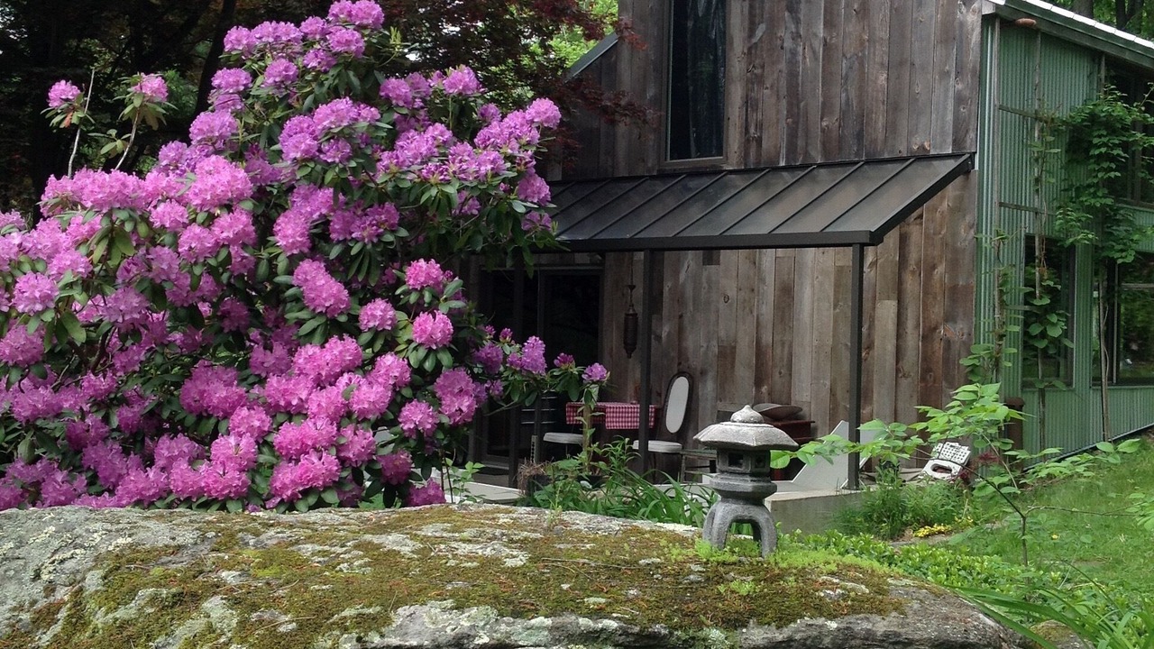 Photo of Outdoor in Pawling